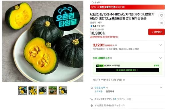 제주 미니밤호박 보우짱 5kg (9,350원/무료)