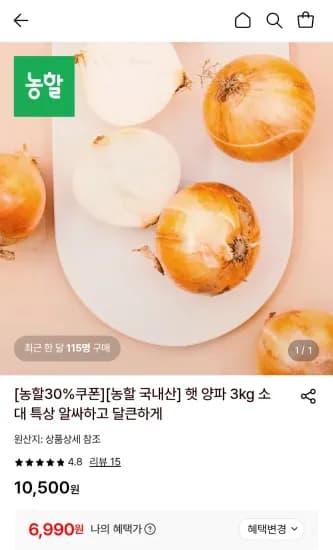 국내산 햇양파 10kg (6,990원/무료)