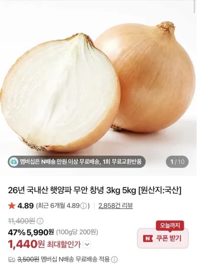 국내산 무안/창녕 햇양파 1.5kg (1,440원/무료)