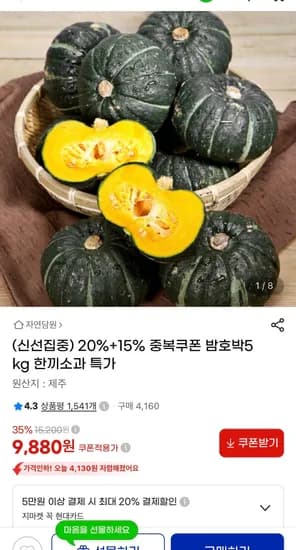 제주 밤호박 5kg 소과 (9,880원/무료)