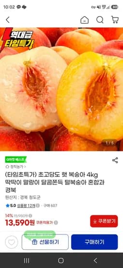 초고당도 햇 복숭아 4kg 딱딱이 말랑이 달콤쫀득 털복숭아 혼합과 (13,590원/무료)