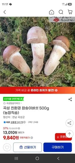 곡성 친환경 참송이버섯 500g (9,840원/무료)