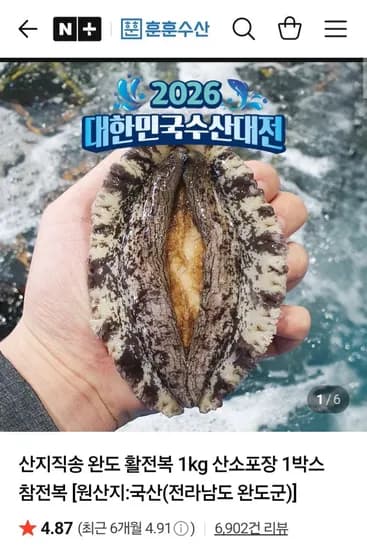 완도 활전복 1kg 11-12미 네멤 (12,230원/무료)