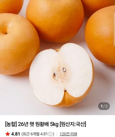 26년 갓 딴 나주햇배 3kg (8,640원/무료)