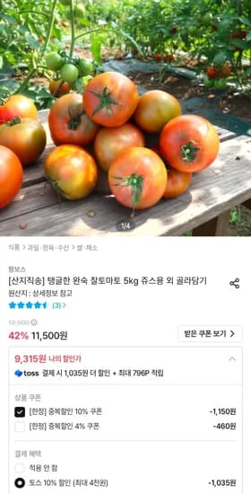 완숙 찰토마토 5kg 쥬스용