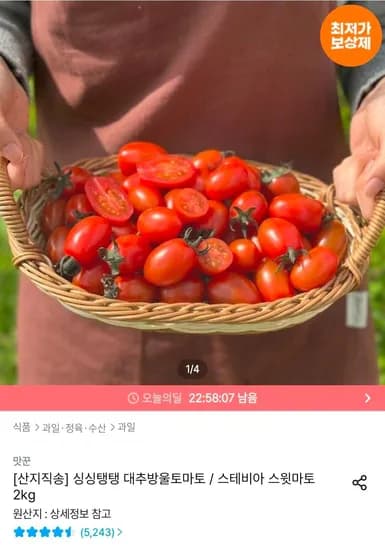 대추방울토마토 2kg 4~5번과