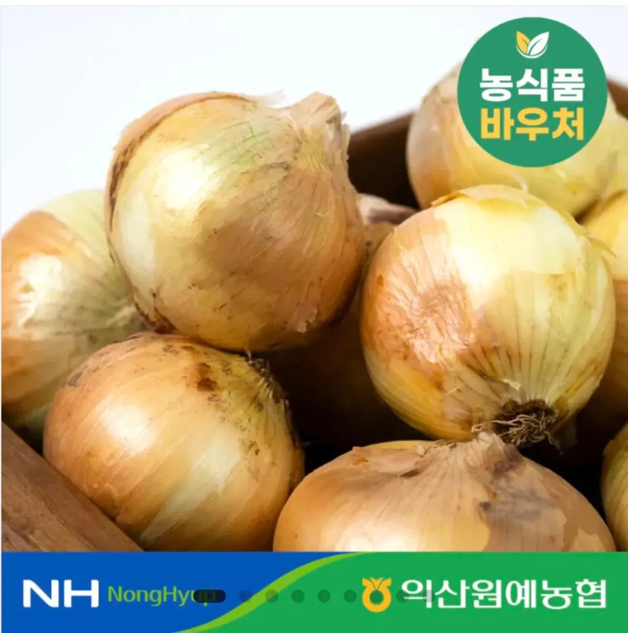 햇양파 5kg 대