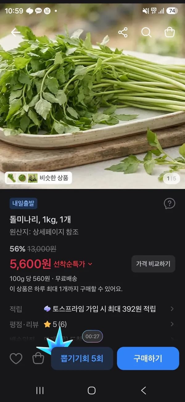 돌미나리 1kg 5,600원