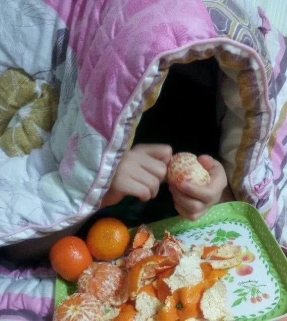 제주직송 조생감귤 서귀포감귤 3kg/5kg