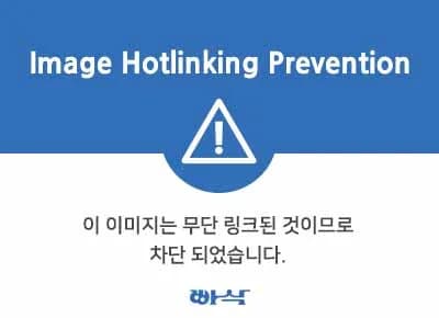 애플 에어팟 맥스 2 블루투스 무선 헤드폰