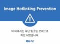 삼성전자 갤럭시 버즈 온 블루투스 이어폰