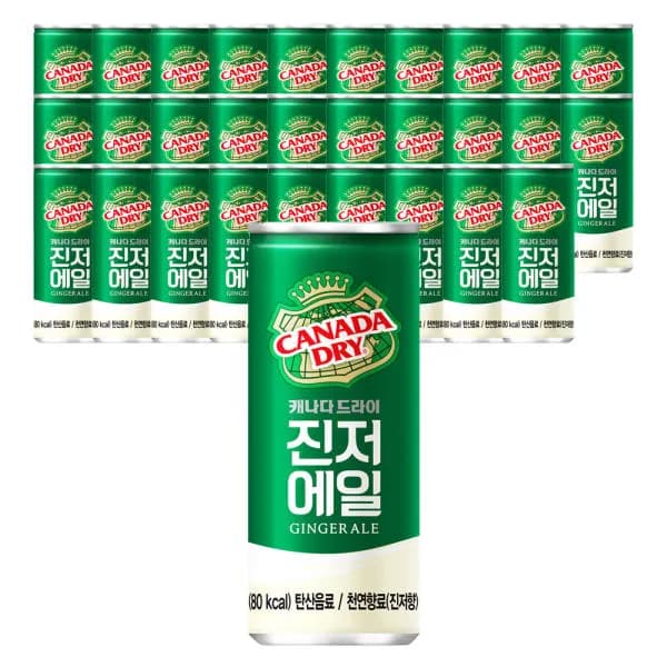 캐나다드라이 진저에일, 250ml, 30개 ( 13,980원 / 무료 배송 )