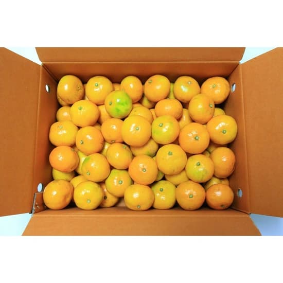 쿠팡) 제주도 서귀포 노지 하우스 고당도 귤 밀감 감귤 가정용 선물용 3kg 5kg 68% 34,800원  14,600원 (100g당 487원) 쿠팡판매가 10,890원 (100g당 363원) 와우할인가