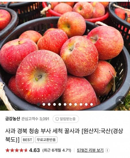 사과 경북 청송 부사 세척 꿀사과 5kg (32,860원/무배)