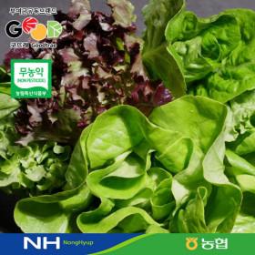 20%+10%/ 샐러드 채소 상추 쌈채소 1kg(특품) 3~5종랜덤/무농약/GAP ( 7,980원 / 무료 배송 )