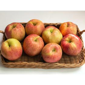 지마켓)(신선집중) 20%+5%/ 아삭아삭 경북 부사사과 4kg (23과내외) 가정용 미색 중소과 40% 기존가26,200원 20,900원 15,680원