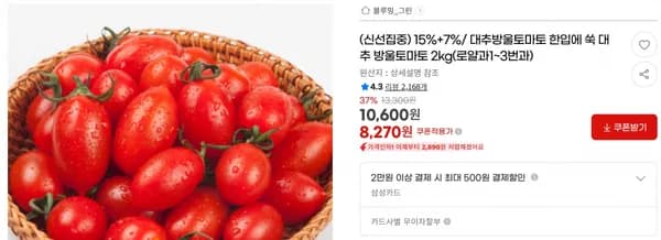 15%+7%/ 대추방울토마토 한입에 쑥 대추 방울토마토 2kg(로얄과1~3번과) < 8,270원 / 무료 배송 >
