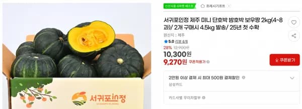 서귀포인정 제주 미니 단호박 밤호박 보우짱 2kg(4~8과)/ 2개 구매시 4.5kg 발송/ 25년 첫 수확 < 9,270원 / 무료 배송 >