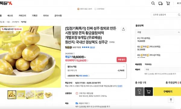 카카오) 진짜 성주 참외로 만든 시원 말랑 쫀득 황금꿀참외떡 개별포장 9개입 (15,840원/무배)