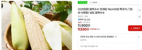 찰옥수수 15개입 14cm이상 특크기 / 25년 수확중/ 남도 찰옥수수 < 9,530원 / 무료 배송 >