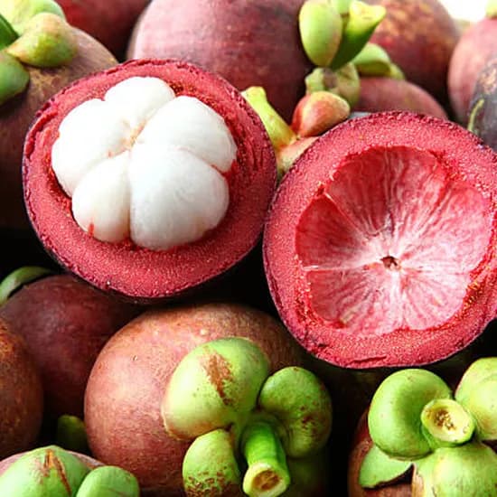 태국 생 망고스틴 생과 항공 직수입 고당도(14,400원/3,500원)