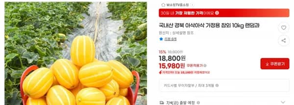 국내산 경북 아삭아삭 가정용 참외 10kg 랜덤과 < 15,980원 / 무료 배송 >