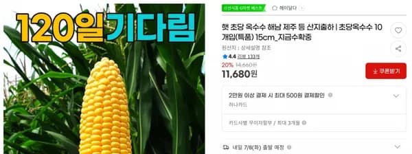 햇 초당 옥수수 해남 제주 등 산지출하 | 초당옥수수 10개입(특품) 15cm_지금수확중 < 11,680원 / 무료 배송 >