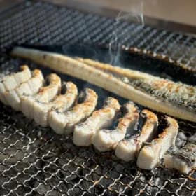 지마켓)(신선집중) 브라더팜 당일손질 고창 풍천 민물장어 1kg 손질후600g내외 소스2종+생강채 자포니카 28,600원 (무베)