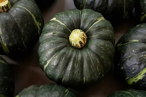 미니밤호박 특품 2kg (8,300원/무배)