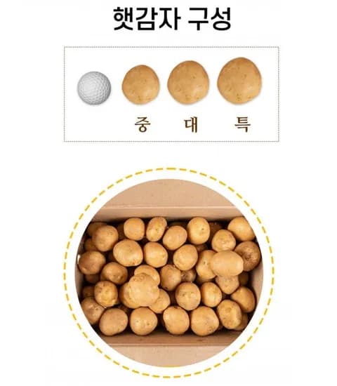 국내산 햇 감자 5키로 (9,320원/무료)