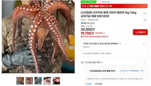지마켓）ㅍ(신선집중) 산지직송 통영 자연산 돌문어 1kg 1.5kg 금어기끝 제철 보양식문어 19,700원（무배）