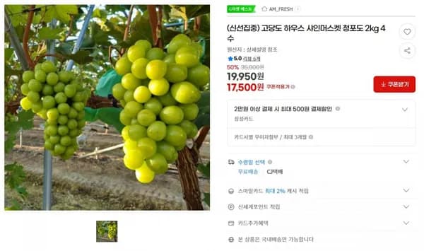 고당도 하우스 샤인머스켓 청포도 2kg 4수 < 17,500원 / 무료 배송 >