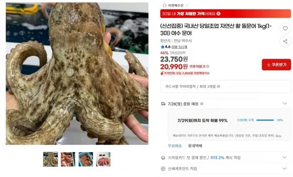 국내산 당일조업 자연산 활 돌문어 1kg(1-3미) 여수 문어 < 20,990원 / 무료 배송 >