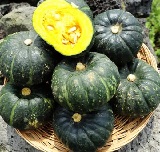 제주 미니미니밤호박 2kg 보우짱 미니단호박