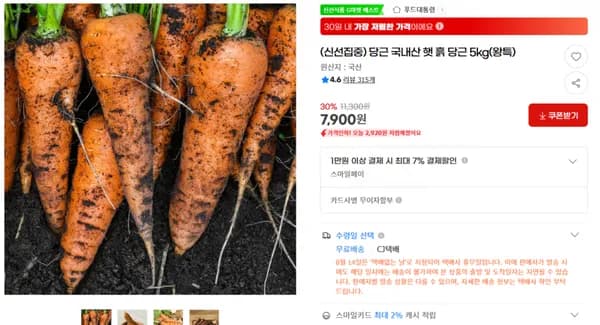 신선집중 당근 국내산 햇 흙 당근 5kg