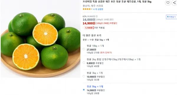 프리미엄 특품 상큼한 제주 효돈 청귤 풋귤 제주감귤 청귤 5kg