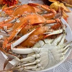 제철 국내산 가을 활 숫꽃게 3kg