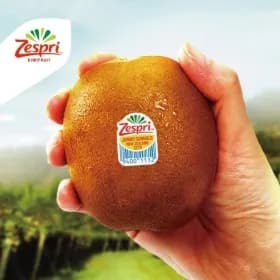 지마켓）제스프리 ㅁ 골드키위 자이언트 사이즈 총 3.2kg (21입 개당 150g 내외) 24,290원（무배