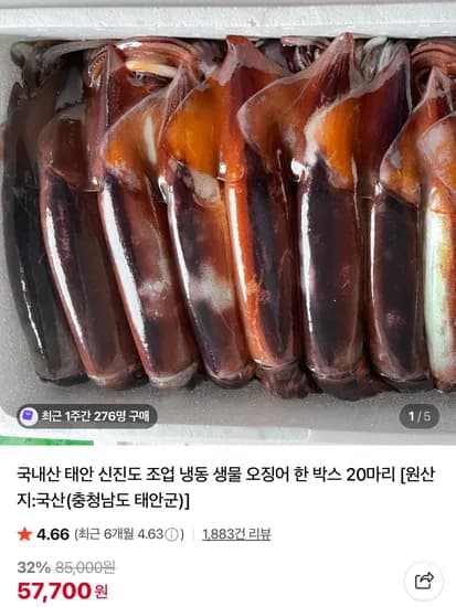 국내산 태안 신진도 조업 냉동 생물 오징어 한 박스 20마리
