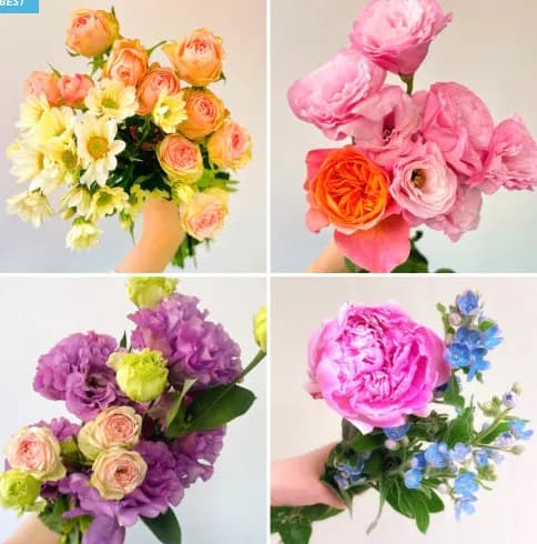 제철꽃 10송이 미니생화다발