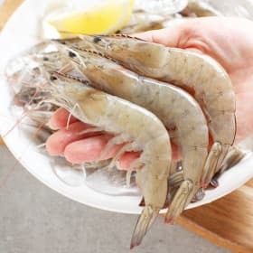 생물 새우 1kg 35미내외