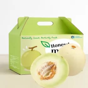 미국산 허니듀 메론 선물세트 2수 (개당 2kg내외)