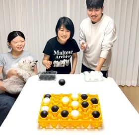 탁구공 빙고 계란판 놀이 보드게임