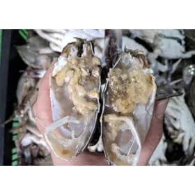 제철 국내산 활 꽃게 1kg 숫꽃게 10,260원