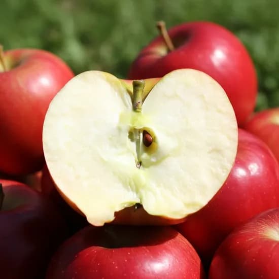 산들에담다 홍로사과 가정용 1kg 1박스