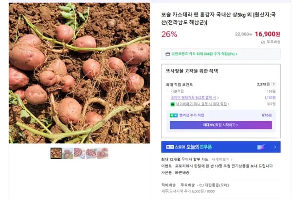 포슬 카스테라 햇 홍감자 국내산 상 5kg 외