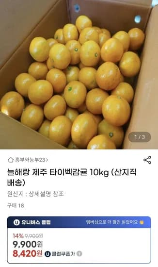 타이벡감귤 중대과 L 2L 10kg