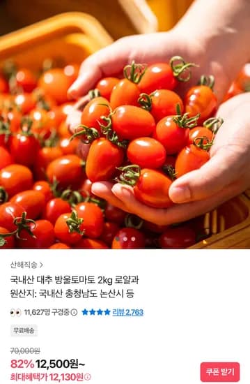 국내산 대추 방울토마토 2kg 로얄과