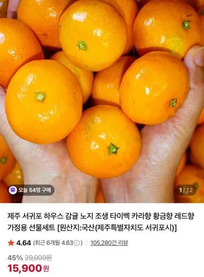 제주 서귀포 하우스 감귤 노지 조생 타이벡 카라향 황금향 레드향 가정용 선물세트
