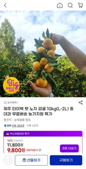 제주 햇 타이백 노지감귤 중대과 10kg